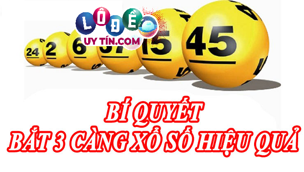 Cách soi cầu 3 càng vip chính xác giúp bạn đánh đâu trúng đó 22 Cách soi cầu 3 càng vip chính xác giúp bạn đánh đâu trúng đó