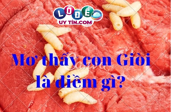 Nằm mơ thấy dòi có ý nghĩa gì? Điềm báo về con số chính xác 16 Nằm mơ thấy dòi có ý nghĩa gì? Điềm báo về con số chính xác