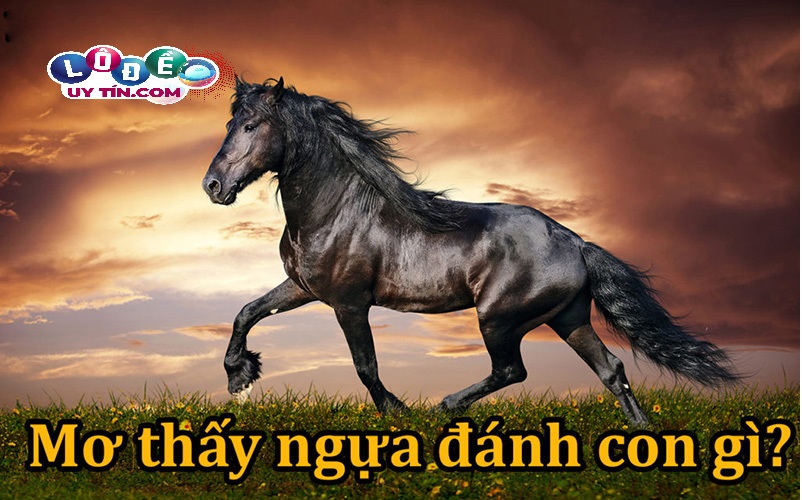 Điềm báo mơ thấy ngựa có ý nghĩa gì? Lý giải chính xác nhất 31 Điềm báo mơ thấy ngựa có ý nghĩa gì? Lý giải chính xác nhất