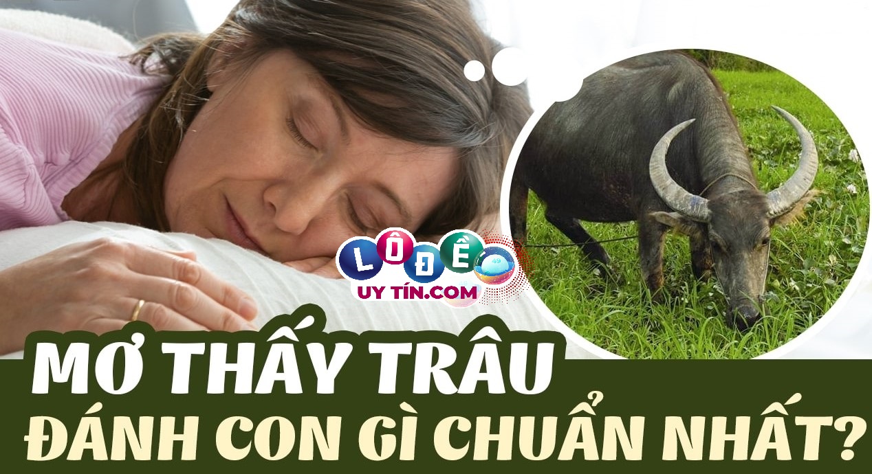 Mơ thấy trâu đánh số gì, là điềm lành hay dữ? 18 Mơ thấy trâu đánh số gì, là điềm lành hay dữ?