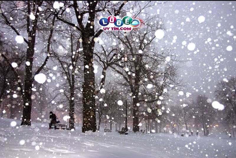 Mơ thấy tuyết báo điềm gì, đánh số gì dễ trúng? 6 Mơ thấy tuyết báo điềm gì, đánh số gì dễ trúng?