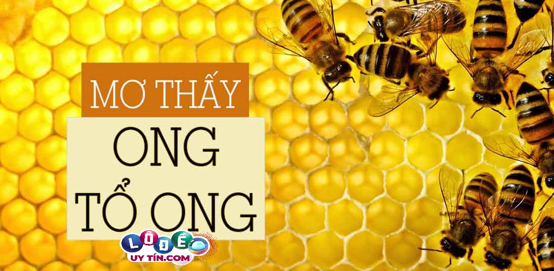 Điềm báo mơ thấy tổ ong bật mí điều gì? Đánh số gì bất bại? 13 Điềm báo mơ thấy tổ ong bật mí điều gì? Đánh số gì bất bại?