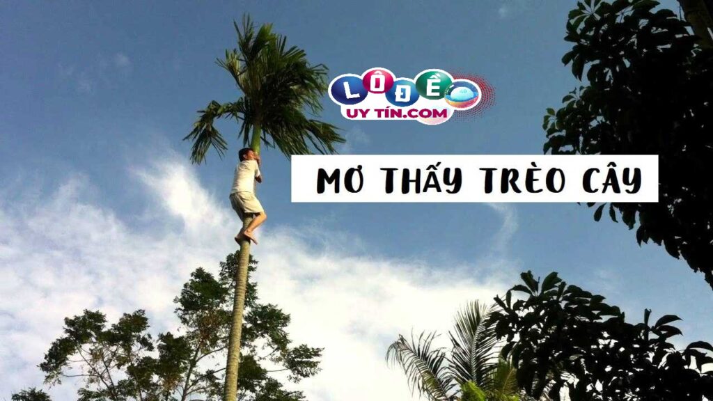 Giải mã giấc mơ trèo cây đầy đủ, chi tiết? Đánh con gì dễ ăn