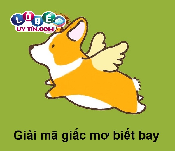 Phân tích giấc mơ biết bay đánh con gì? Điềm báo giấc mơ 16 Phân tích giấc mơ biết bay đánh con gì? Điềm báo giấc mơ