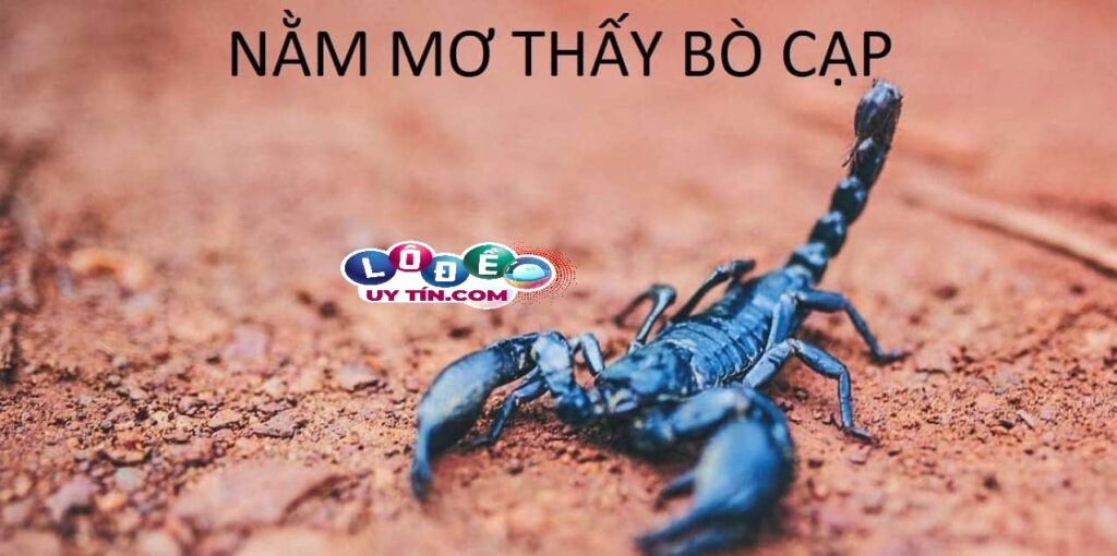 Nằm mơ thấy bò cạp có ý nghĩa gì? Đánh số gì rực rỡ? 1 Nằm mơ thấy bò cạp có ý nghĩa gì? Đánh số gì rực rỡ?