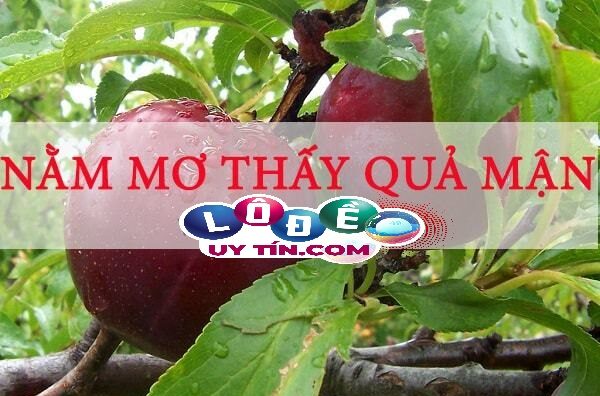 Chiêm bao mơ thấy quả mận đánh con gì? Giải mã điềm báo 8 Chiêm bao mơ thấy quả mận đánh con gì? Giải mã điềm báo