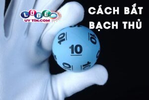 Tổng hợp số bạch thủ lô vip chính xác từ các chuyên gia  231 Tổng hợp số bạch thủ lô vip chính xác từ các chuyên gia