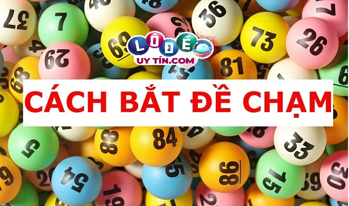 Phương pháp loại chạm đề hiệu quả - Cách loại chạm đề 12 Phương pháp loại chạm đề hiệu quả - Cách loại chạm đề