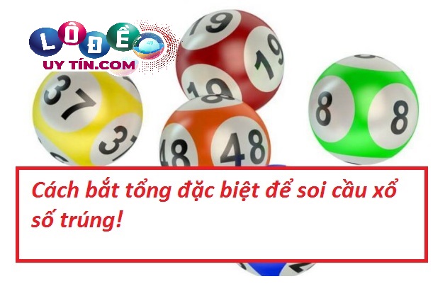 Chia sẻ cách bắt tổng đặc biệt từ những chuyên gia hàng đầu 16 Chia sẻ cách bắt tổng đặc biệt từ những chuyên gia hàng đầu