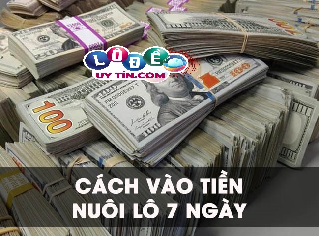 Bật mí các cách vào tiền nuôi lô 7 ngày hiệu quả nhất 13 Bật mí các cách vào tiền nuôi lô 7 ngày hiệu quả nhất