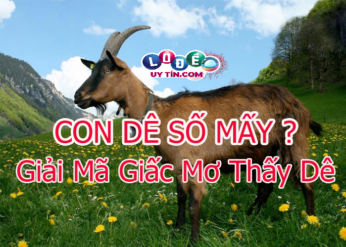 Chiêm bao mơ thấy con dê có ý nghĩa gì, đánh số mấy? 27 Chiêm bao mơ thấy con dê có ý nghĩa gì, đánh số mấy?