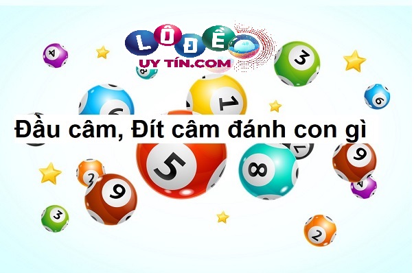 Lô đít câm – lô đầu câm đánh con gì dễ trúng nhất? 10 Lô đít câm – lô đầu câm đánh con gì dễ trúng nhất?
