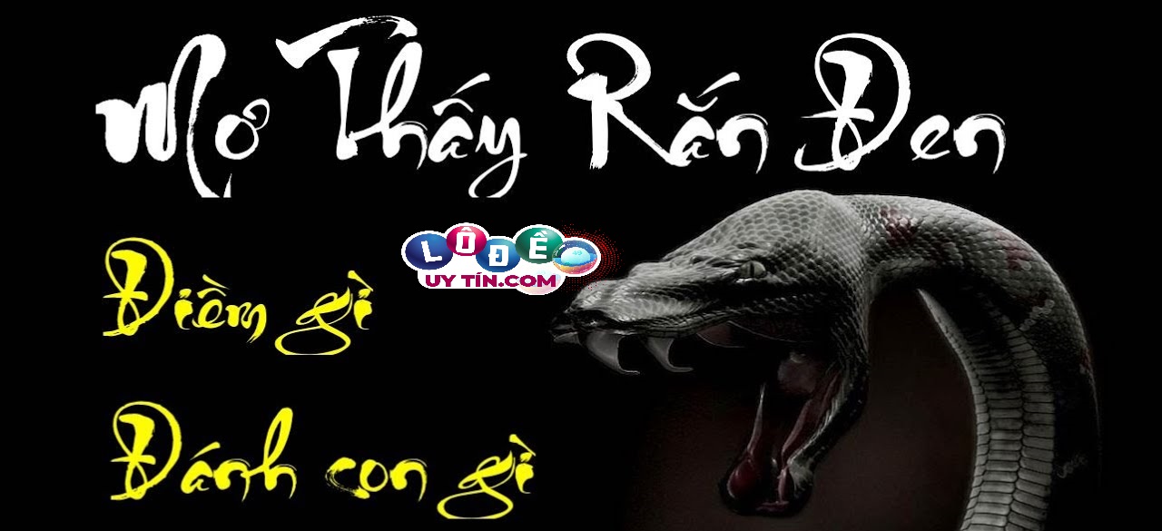 Mơ thấy rắn đen trắng đánh con gì và ý nghĩa giấc mơ 13 Mơ thấy rắn đen trắng đánh con gì và ý nghĩa giấc mơ