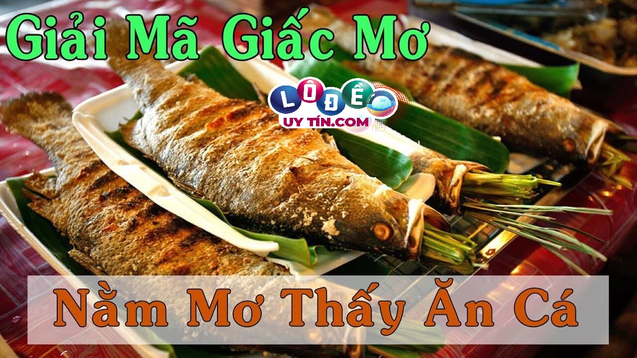Giải mã giấc mơ thấy ăn cá - Mơ thấy ăn cá nên đánh con gì 12 Giải mã giấc mơ thấy ăn cá - Mơ thấy ăn cá nên đánh con gì