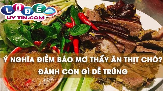 Nằm mơ thấy ăn thịt chó là điềm gì, đánh đề con gì? 23 Nằm mơ thấy ăn thịt chó là điềm gì, đánh đề con gì?