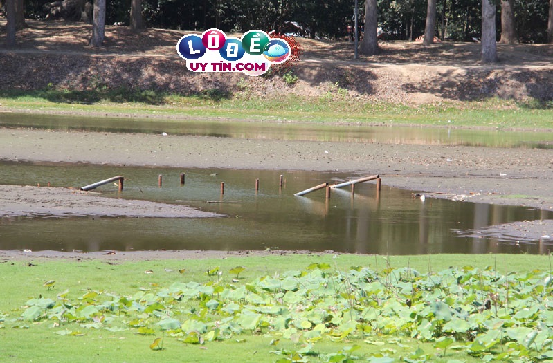 Giải mã giấc mơ thấy ao cạn nước đánh con gì 24 Giải mã giấc mơ thấy ao cạn nước đánh con gì