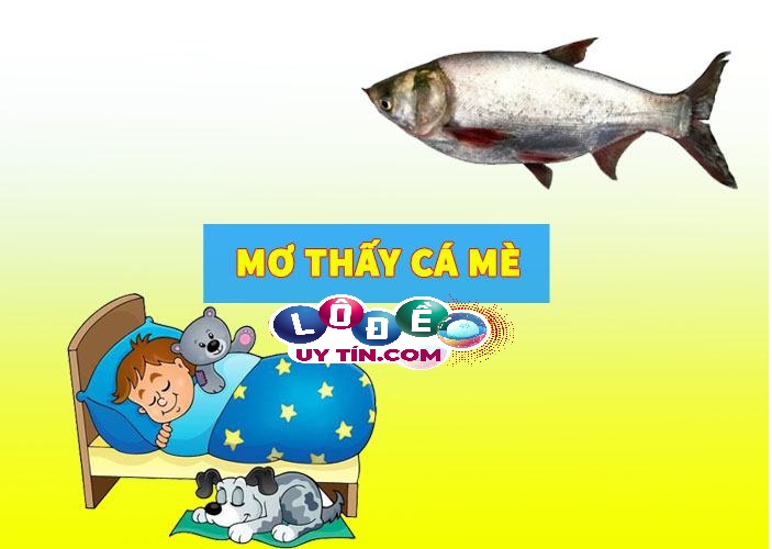 Mơ thấy cá mè đánh số mấy dễ trúng nhất, có ý nghĩa gì? 17 Mơ thấy cá mè đánh số mấy dễ trúng nhất, có ý nghĩa gì?