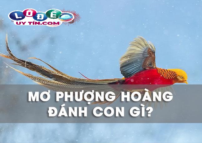 Mơ thấy chim phượng hoàng có ý nghĩa gì, đánh số mấy? 8 Mơ thấy chim phượng hoàng có ý nghĩa gì, đánh số mấy?