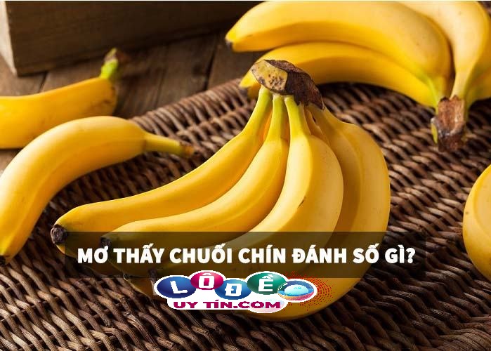Lý giải giấc mơ thấy chuối chín đánh số nào? Là điềm báo gì? 16 Lý giải giấc mơ thấy chuối chín đánh số nào? Là điềm báo gì?