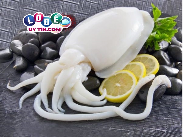 Chiêm bao mơ thấy con mực - Nằm mơ thấy mực đánh số đề gì? 19 Chiêm bao mơ thấy con mực - Nằm mơ thấy mực đánh số đề gì?