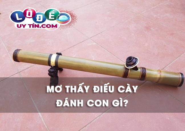 Chiêm bao mơ thấy điếu thuốc lào đánh con gì chuẩn cao thủ? 23 Chiêm bao mơ thấy điếu thuốc lào đánh con gì chuẩn cao thủ?