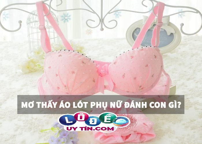 Giải mã giấc mơ - Mơ thấy áo lót phụ nữ đánh con gì? 28 Giải mã giấc mơ - Mơ thấy áo lót phụ nữ đánh con gì?
