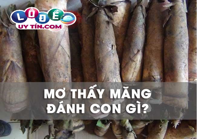 Chiêm bao mơ thấy măng đánh con gì? Giải mã ý nghĩa giấc mơ 27 Chiêm bao mơ thấy măng đánh con gì? Giải mã ý nghĩa giấc mơ