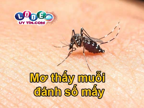 Chiêm bao mơ thấy con muỗi đánh con gì? Con số may mắn nhất 23 Chiêm bao mơ thấy con muỗi đánh con gì? Con số may mắn nhất