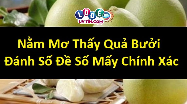 Giải mã giấc mơ thấy quả bưởi có ý nghĩa gì? Đánh số gì?