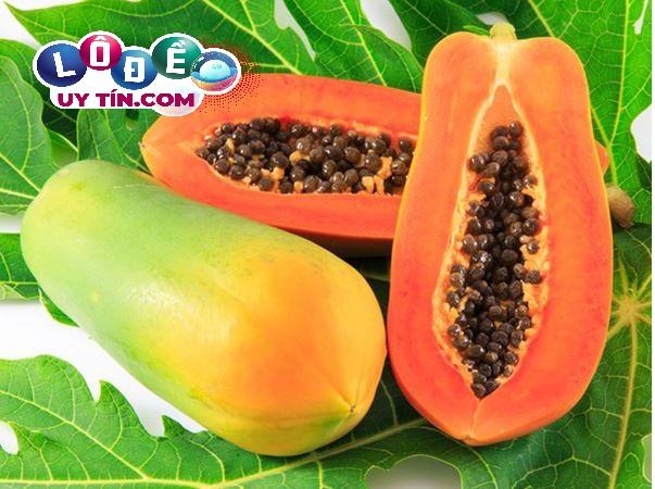 Điềm báo mơ thấy quả đu đủ có ý nghĩa gì? Đánh số gì chuẩn? 8 Điềm báo mơ thấy quả đu đủ có ý nghĩa gì? Đánh số gì chuẩn?