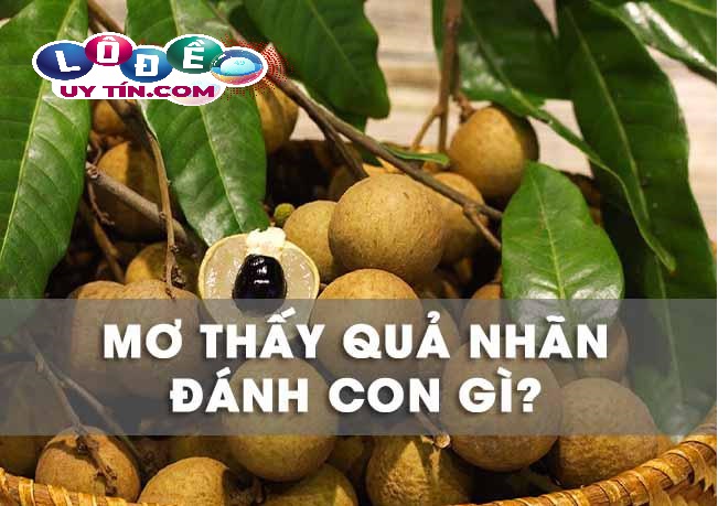 Ngủ mơ thấy quả nhãn báo hiệu điều gì? Đánh con gì chuẩn? 6 Ngủ mơ thấy quả nhãn báo hiệu điều gì? Đánh con gì chuẩn?