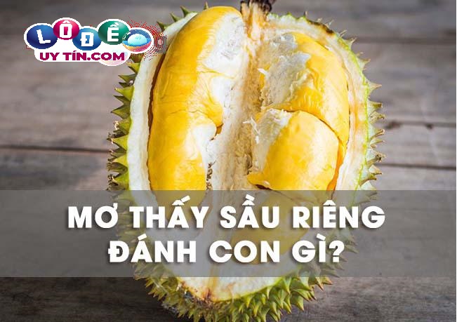 Chiêm bao mơ thấy quả sầu riêng đánh con gì trúng rực rỡ? 29 Chiêm bao mơ thấy quả sầu riêng đánh con gì trúng rực rỡ?