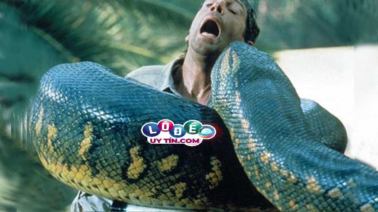 Mơ thấy rắn khổng lồ là điềm gì, đánh con số gì? 28 Mơ thấy rắn khổng lồ là điềm gì, đánh con số gì?