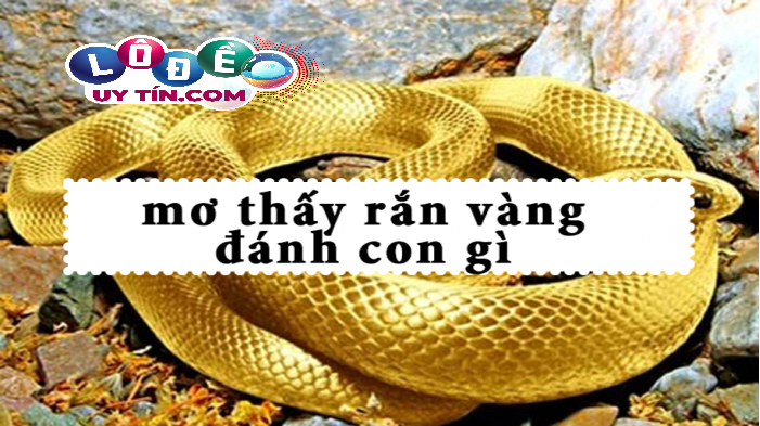 Giải mã nằm mơ thấy rắn vàng đánh con gì, là điềm gì 11 Giải mã nằm mơ thấy rắn vàng đánh con gì, là điềm gì