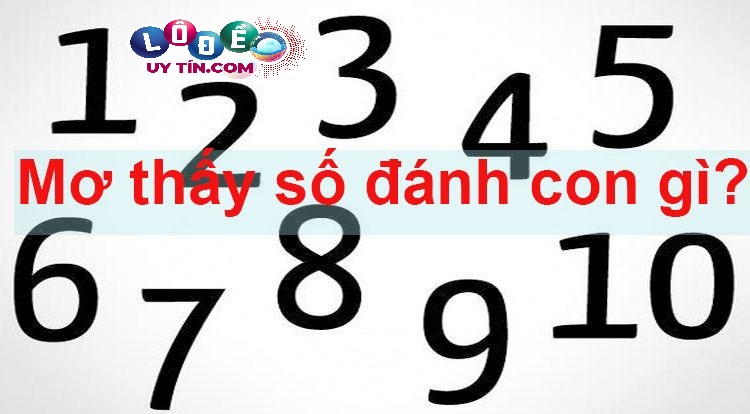 Mơ thấy nhiều con số đánh đề con gì? Giải mã bằng con số? 10 Mơ thấy nhiều con số đánh đề con gì? Giải mã bằng con số?