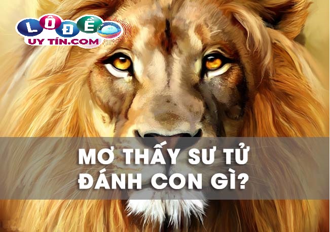 Giải mã mơ thấy sư tử đánh con nào chính xác nhất 1 Giải mã mơ thấy sư tử đánh con nào chính xác nhất