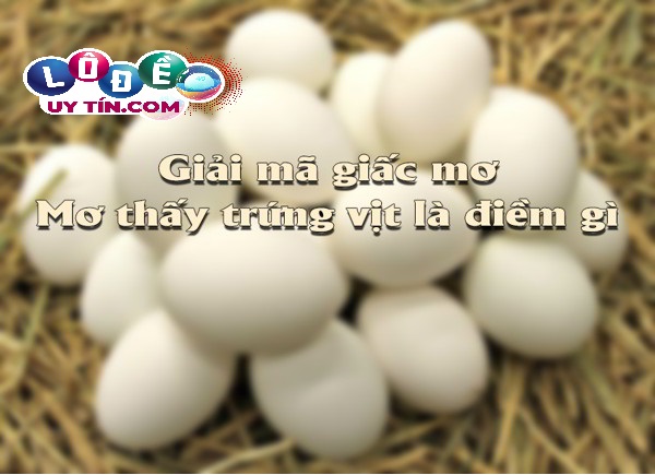 Giải mã giấc mơ thấy trứng vịt lộn là điềm báo tốt hay xấu? 26 Giải mã giấc mơ thấy trứng vịt lộn là điềm báo tốt hay xấu?