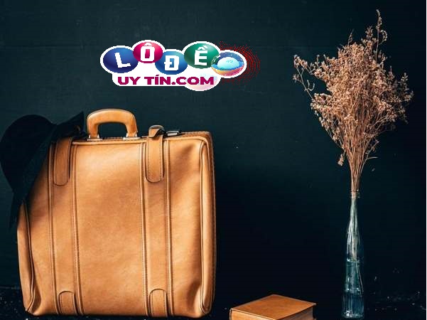 Phân tích giấc mơ thấy túi xách có ý nghĩa gì? Đánh số gì? 12 Phân tích giấc mơ thấy túi xách có ý nghĩa gì? Đánh số gì?