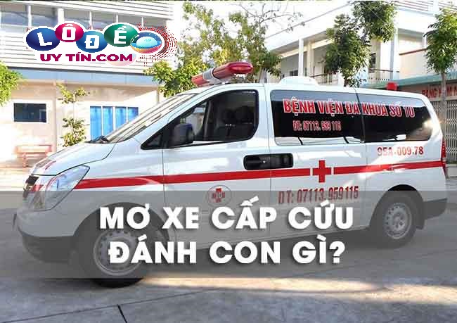 Mơ thấy xe cấp cứu đánh con gì, là điềm báo gì? 8 Mơ thấy xe cấp cứu đánh con gì, là điềm báo gì?