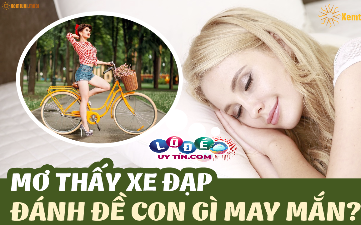 Mơ thấy xe đạp có ý nghĩa gì đánh con gì dễ ăn? 25 Mơ thấy xe đạp có ý nghĩa gì đánh con gì dễ ăn?