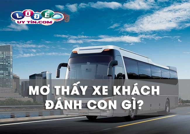 Mơ thấy xe khách là điềm gì, đánh con gì? 9 Mơ thấy xe khách là điềm gì, đánh con gì?