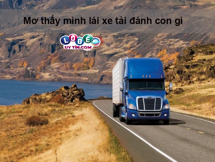 Mơ thấy mình lái xe tải đánh con gì chuẩn nhất? 16 Mơ thấy mình lái xe tải đánh con gì chuẩn nhất?