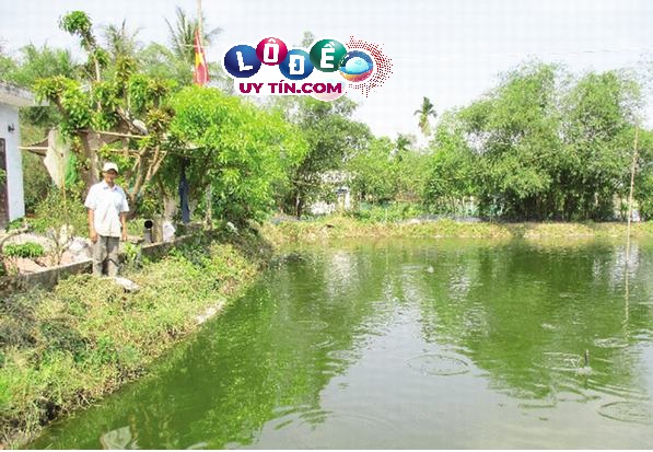 Nằm mơ thấy ao cá đánh con số gì, là điềm tốt hay xấu? 29 Nằm mơ thấy ao cá đánh con số gì, là điềm tốt hay xấu?