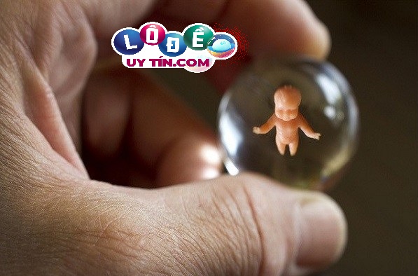 Khám phá giấc mơ thấy mình bị sảy thai đánh con gì? Điềm tốt hay xấu 19 Khám phá giấc mơ thấy mình bị sảy thai đánh con gì? Điềm tốt hay xấu