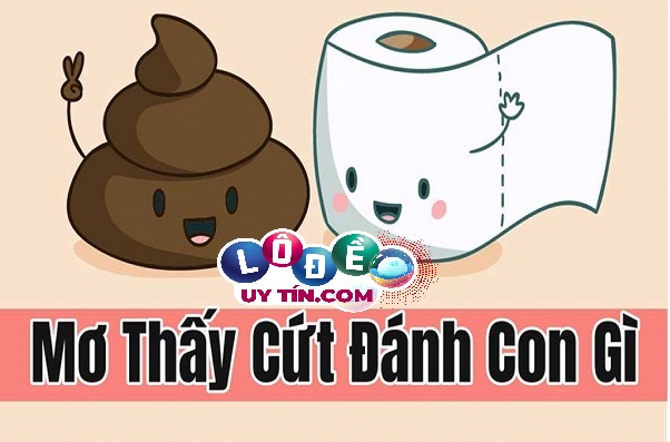 Nằm mơ thấy phân: Điềm báo và con số may mắn 22 Nằm mơ thấy phân: Điềm báo và con số may mắn