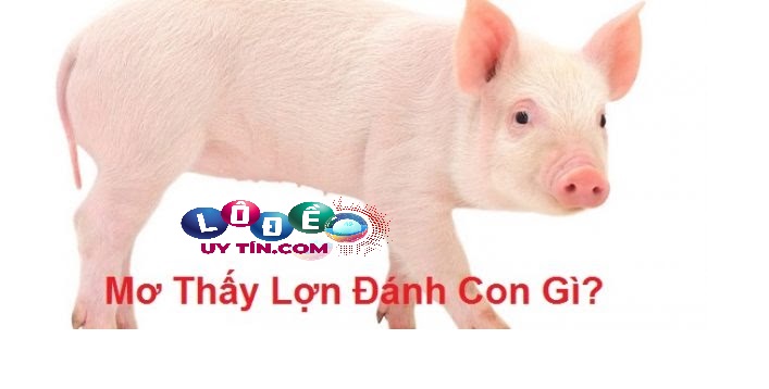 Ngủ mơ thấy con lợn có điềm gì, đánh lô đề con gì? 8 Ngủ mơ thấy con lợn có điềm gì, đánh lô đề con gì?