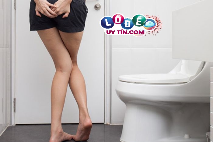 Mơ thấy đi vệ sinh đánh con gì dễ ăn? Điềm báo giấc mơ là gì? 8 Mơ thấy đi vệ sinh đánh con gì dễ ăn? Điềm báo giấc mơ là gì?