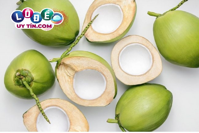 Ngủ mơ thấy quả dừa đánh số gì chắc thắng? Ý nghĩa là gì? 16 Ngủ mơ thấy quả dừa đánh số gì chắc thắng? Ý nghĩa là gì?