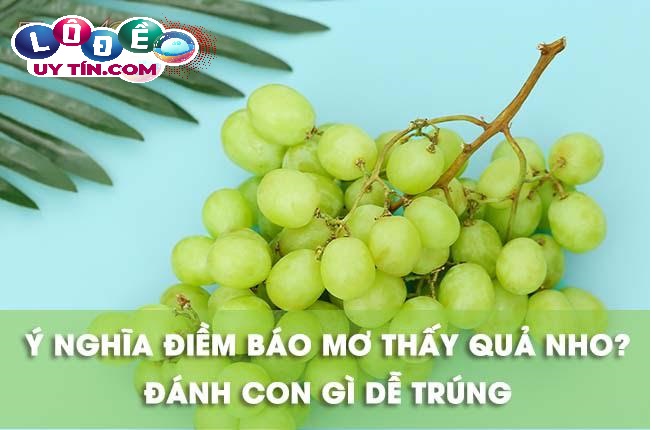 Chiêm bao mơ thấy quả nho đánh số gì? Phân tích ý nghĩa 18 Chiêm bao mơ thấy quả nho đánh số gì? Phân tích ý nghĩa