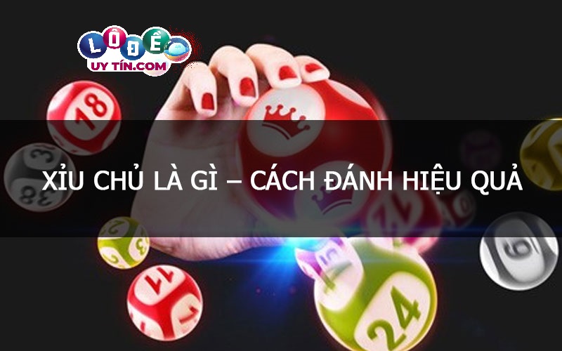 Dự đoán xỉu chủ miền Bắc hôm nay với độ chính xác cao 23 Dự đoán xỉu chủ miền Bắc hôm nay với độ chính xác cao